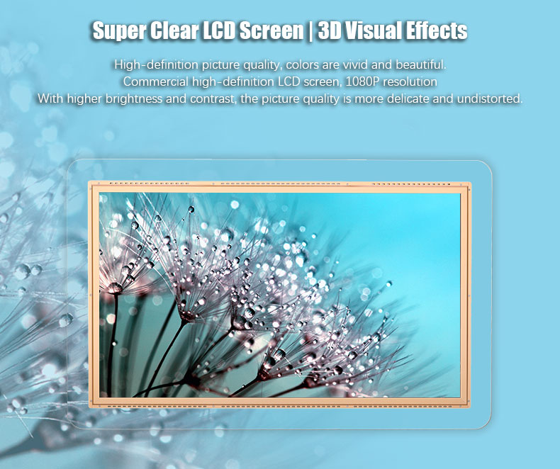 Display a sospensione-sgangherata-paesaggio-doppio-LCD-LCD