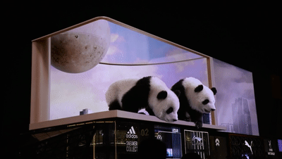 Panda 3d eye nudo in Cina
